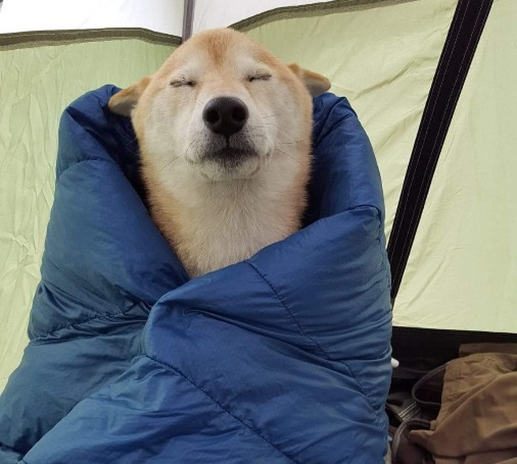 Ảnh: BrightSide Ảnh: BrightSide