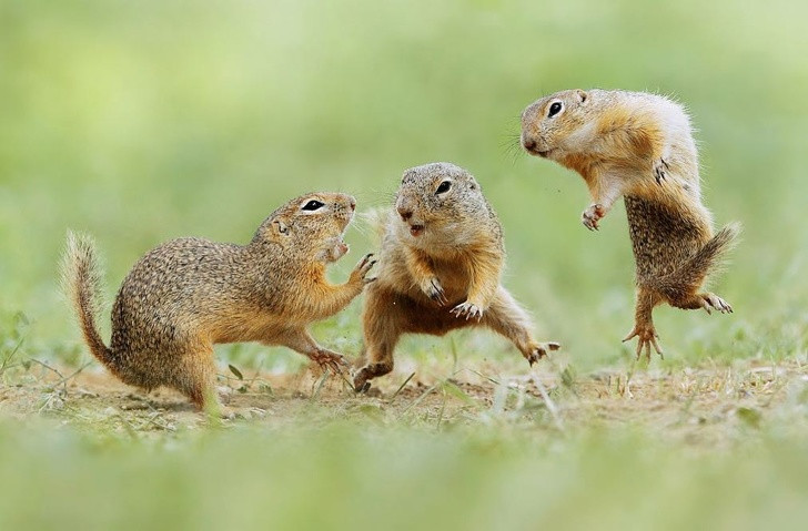 Ảnh: BrightSide Ảnh: BrightSide