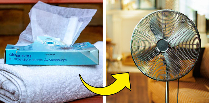 Ảnh: BrightSide Ảnh: BrightSide