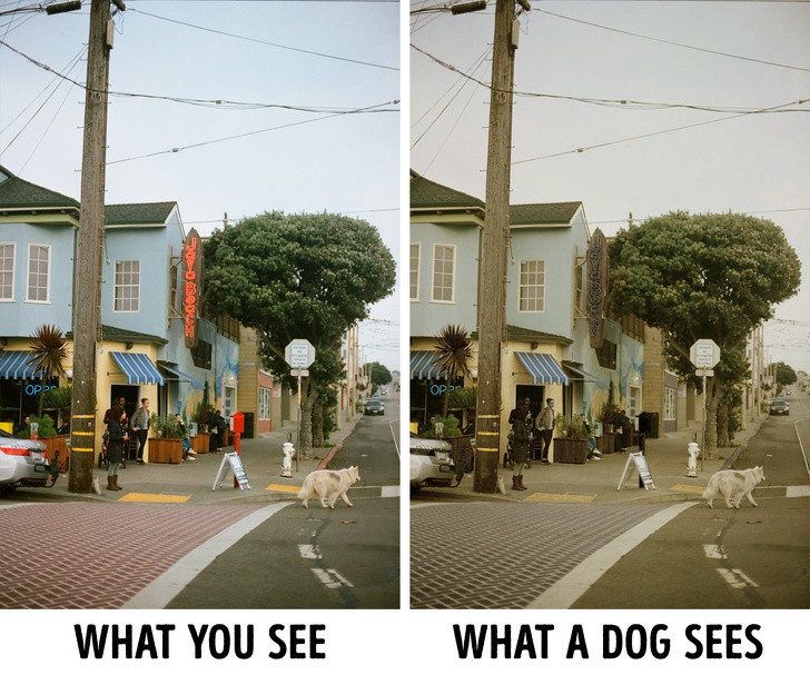 Ảnh: BrightSide Ảnh: BrightSide