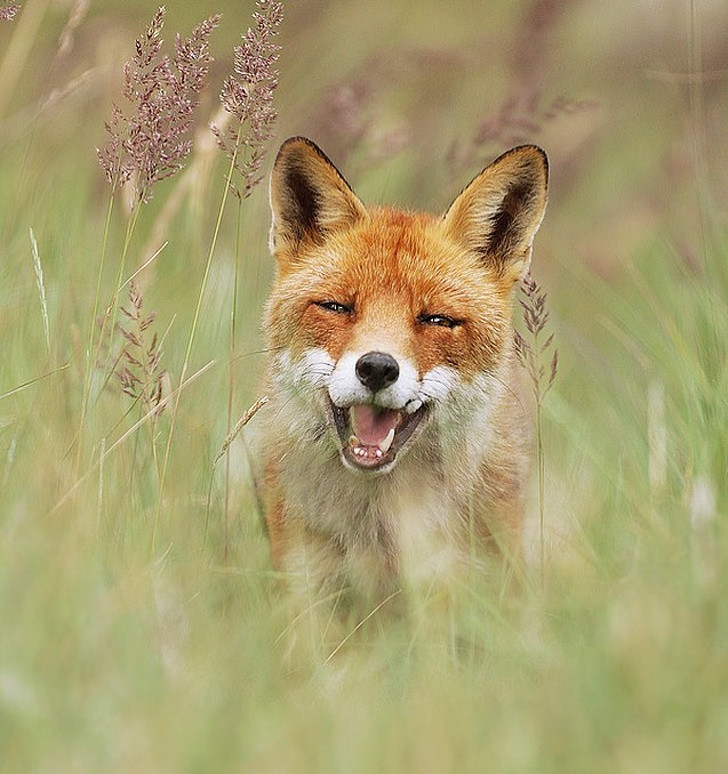 Ảnh: BrightSide Ảnh: BrightSide