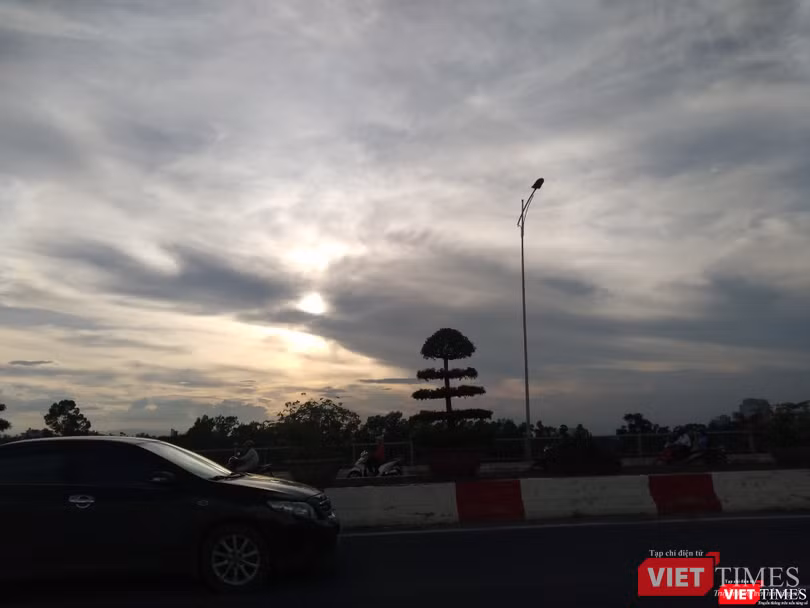 Cặp cá làm duyên trong ánh chiều hoàng hôn với mặt trời ở giữa.