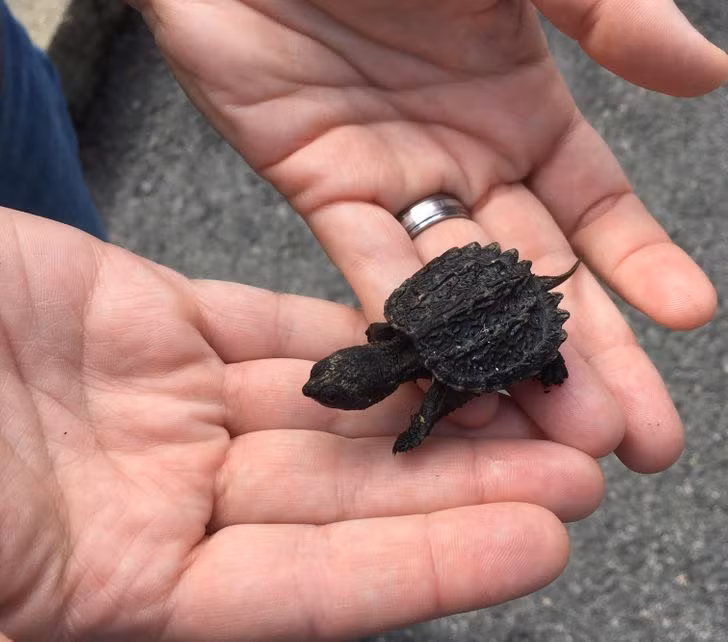 Ảnh: BrightSide Ảnh: BrightSide