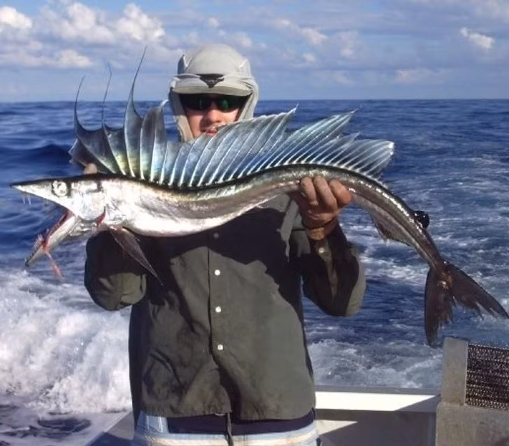 Ảnh: BrightSide Ảnh: BrightSide