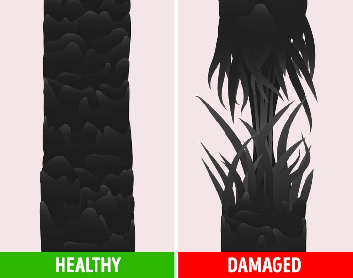 Ảnh: BrightSide Ảnh: BrightSide