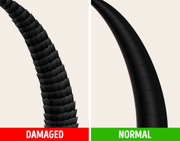 Ảnh: BrightSide Ảnh: BrightSide