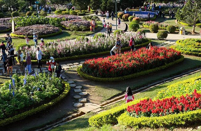 Lễ hội hoa trong Quần thể nghỉ dưỡng FLC Lễ hội hoa trong Quần thể nghỉ dưỡng FLC