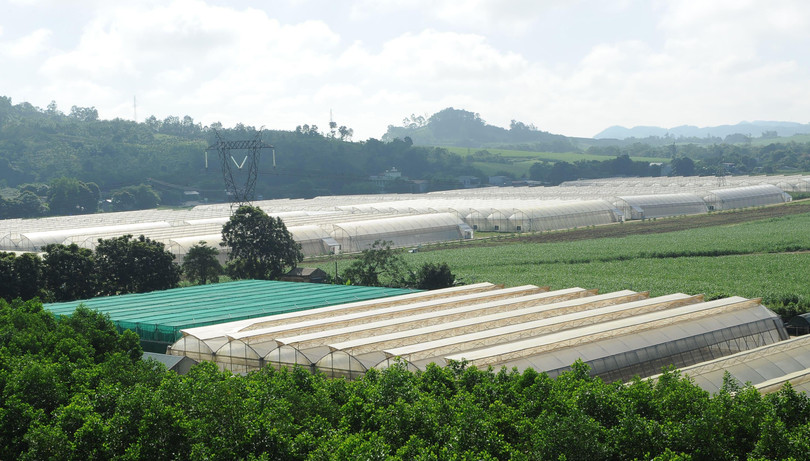 Một góc Khu nông nghiệp công nghệ cao tại Công ty mía đường LASUCO Lam Sơn (trung tâm động lực Lam Sơn - Sao Vàng) Một góc Khu nông nghiệp công nghệ cao tại Công ty mía đường LASUCO Lam Sơn (trung tâm động lực Lam Sơn - Sao Vàng)