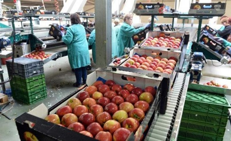 Các doanh nghiệp Nga ngày càng định hướng tập trung vào thị trường nội địa. Các doanh nghiệp Nga ngày càng định hướng tập trung vào thị trường nội địa.