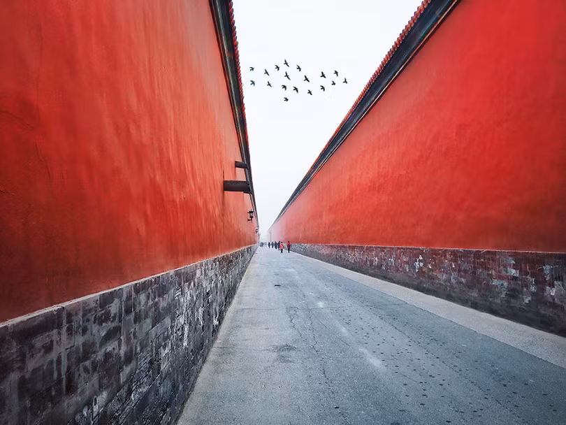 Những tấm ảnh xuất sắc nhất năm 2017 được chụp từ iPhone (Phần 1) ảnh 15