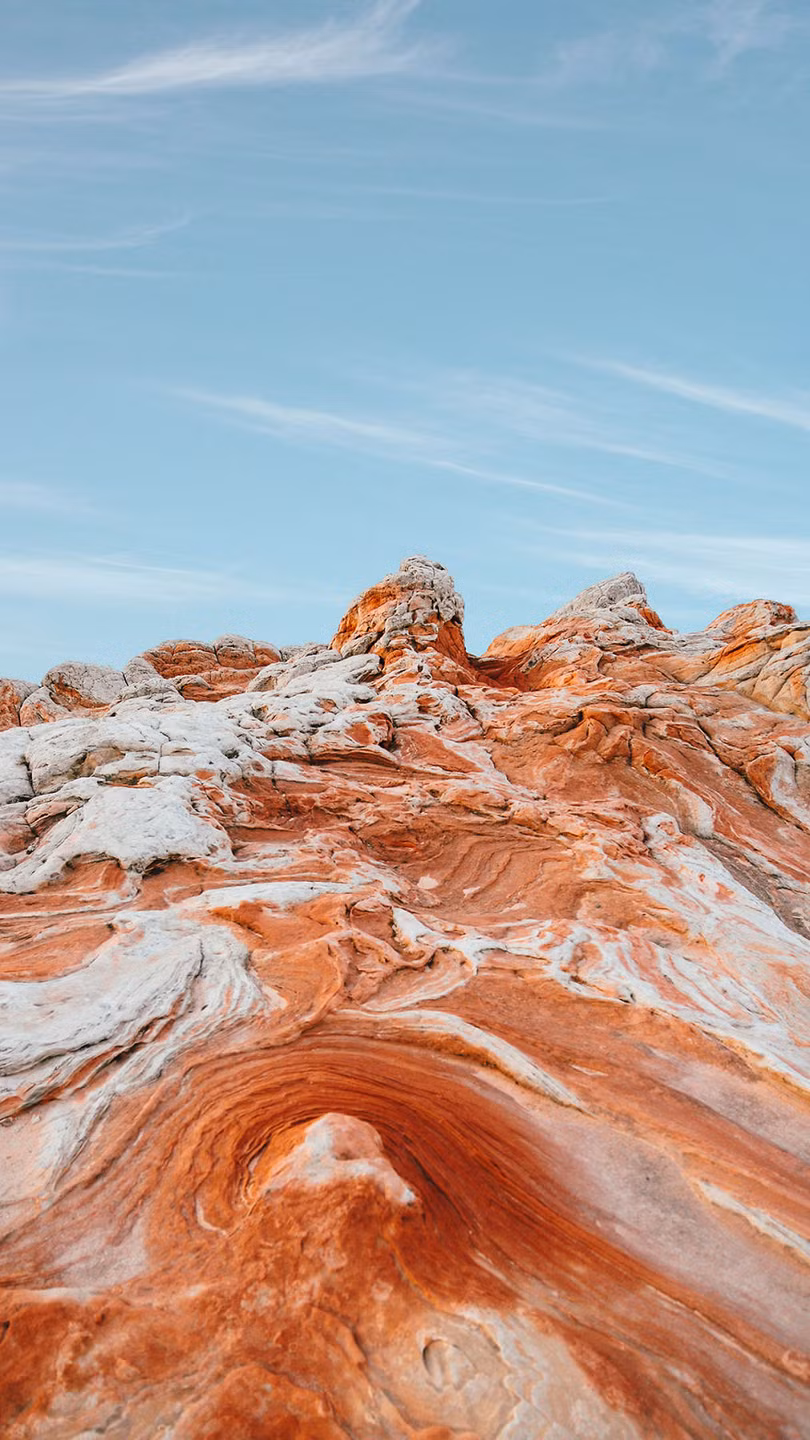 Cha đẻ của hình nền “tỉ view” Windows XP tái xuất ảnh 6