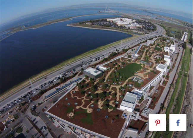 "Biên niên sử" Facebook qua ảnh ảnh 30