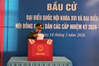 Những lá phiếu sớm của cử tri Đặc khu Bạch Long Vĩ