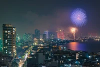 Khoảnh khắc pháo hoa rực sáng chào năm mới 2026