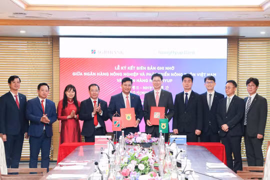 Agribank tham gia Diễn đàn Kinh tế Việt Nam - Hàn Quốc: Thúc đẩy kết nối tài chính, mở rộng hợp tác doanh nghiệp