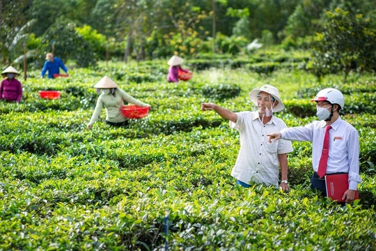 Agribank điều hành tín dụng kiên định vì mục tiêu phát triển bền vững