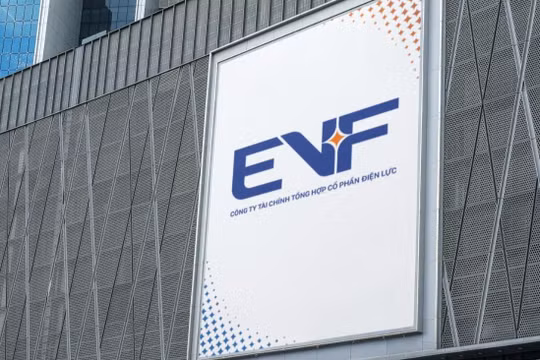 EVF duy trì đà tăng trưởng, lợi nhuận quý I/2026 tăng 8,1%