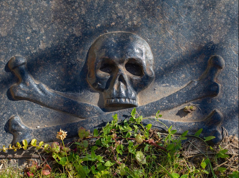 Ảnh minh họa: PM.