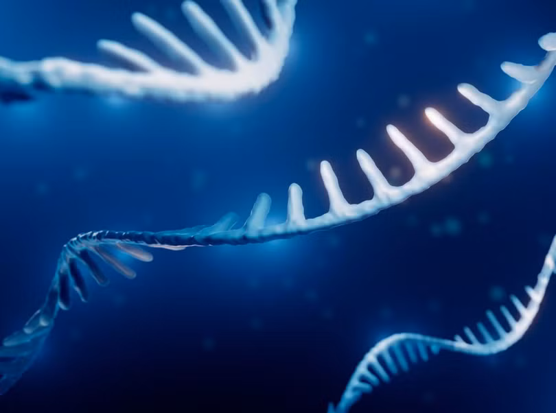 Ảnh minh họa: Getty.