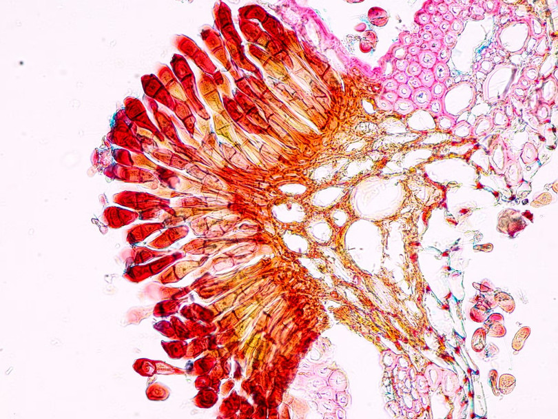 Ảnh minh họa: Getty.