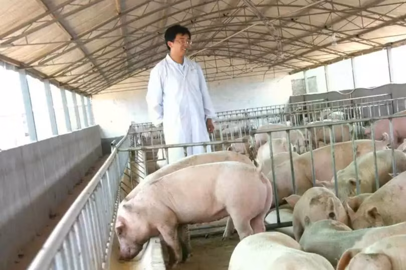 Vào năm 2023, một cặp vợ chồng người Trung Quốc, nổi tiếng với khối tài sản vượt quá 100 triệu nhân dân tệ, đã bị bắt giữ với cáo buộc gian lận nhưng được thả do thiếu bằng chứng. Ảnh: Weibo.