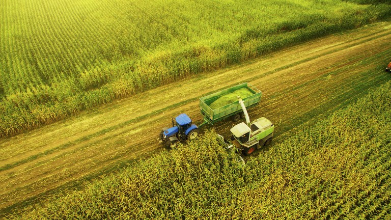 Ảnh minh họa: Getty.