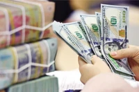 Loạt doanh nghiệp Nhà nước báo lãi kỷ lục, nhiều đơn vị vượt mốc tỷ USD trong 2025