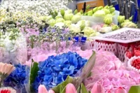 Khám phá chợ hoa lớn nhất Hà Nội dịp giáp Tết