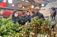 Chợ hoa lớn nhất Hà Nội dịp giáp Tết có gì đặc biệt?