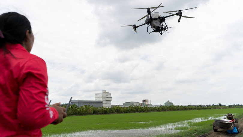 Drone được nhiều nông dân đưa vào sản xuất nông nghiệp. Ảnh minh họa.