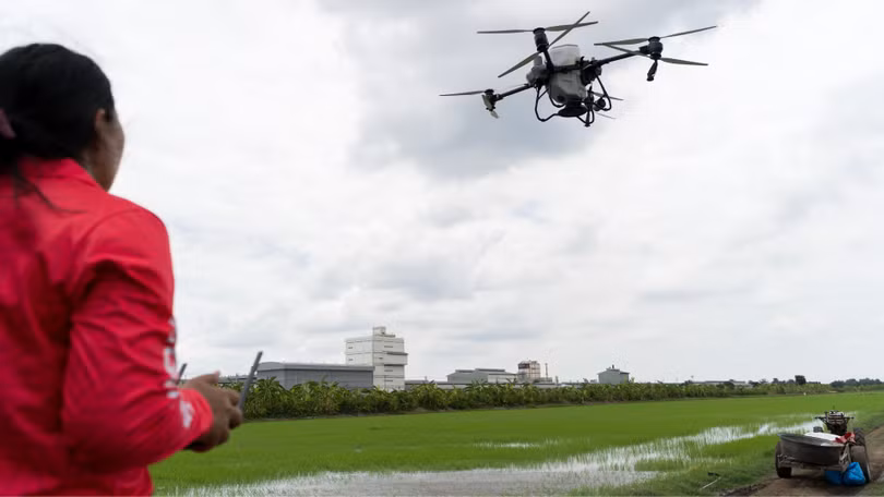 Drone được nhiều nông dân đưa vào sản xuất nông nghiệp. Ảnh minh họa.