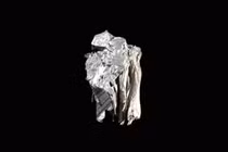 Một mẫu dysprosium, một trong những mặt hàng xuất khẩu bị ảnh hưởng bởi động thái kiểm soát gần đây của Trung Quốc. Ảnh: WSJ.