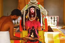 Một đạo sĩ Hindu đang thực hiện nghi lễ cầu nguyện trước tượng thần có tên "Corona Devi" ở Coimbatore, Tamil Nadu (Ảnh: AFP)