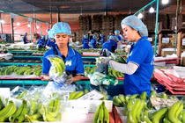 Công ty của 'bầu' Đức lãi nghìn tỉ đồng lần đầu tiên sau 8 năm