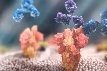 Liệu pháp kháng thể AZD7442 của AstraZeneca (Ảnh - AstraZeneca)
