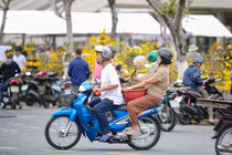 Chở Xuân về nhà