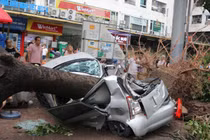 Hà Nội tan hoang do bão Yagi, 54 ô tô bị hư hỏng