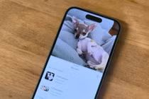 iPhone 16