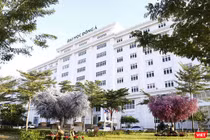 Bộ GD-ĐT vừa cho phép trường ĐH Đông Á (Đà Nẵng) tuyển sinh và đào tạo ngành Dược trình độ Đại học từ năm 2019 với chỉ tiêu 100 sinh viên trong năm đầu tiên. 