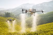 UAV nông nghiệp của DJI có thể được sử dụng để phun thuốc cho cây trà được trồng trên sườn núi (Ảnh: Nikkei Asia)