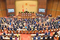 Quang cảnh 