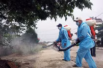 Nguy cơ Chikungunya “gõ cửa”, Việt Nam căng mình chặn dịch 