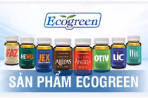 Eco Pharma - nhà phân phối độc quyền sâm Alipas Platinum, sâm Angela Gold: Doanh thu nghìn tỷ, lợi nhuận mỏng tang...