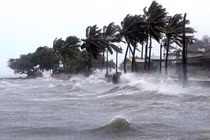 Bão Krathon trở thành cơn bão số 5 trong năm 2024. (Ảnh: Windy)