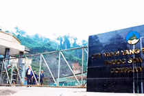 Công ty TNHH vàng Phước Sơn (thuộc Tập đoàn Besra tại Quảng Nam) 