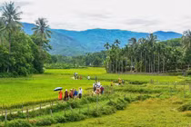 Một góc làng cổ Lộc Yên, huyện Tiên Phước, tỉnh Quảng Nam (ảnh UBND huyện Tiên Phước)