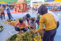 Cây dược liệu được bày bán tại chợ Sâm Ngọc Linh tỉnh Quảng Nam. (ảnh CTV)