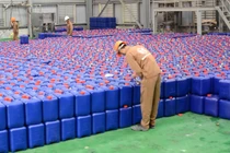 Nhiều nhân viên Hóa chất Đức Giang từng "đổi đời" nhờ cổ phiếu DGC