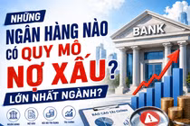 Những cục nợ xấu ngân hàng đang nằm ở đâu?