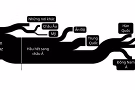 Nghẽn eo Hormuz: Hành trình của dầu mỏ bị đảo lộn như thế nào bởi chiến tranh?